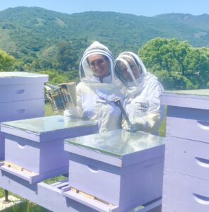 Beekeeping at Lion Springs Lavender Farm